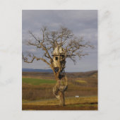 Carte Postale Arbre (Devant)