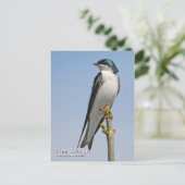 Carte postale Arbre (Debout devant)