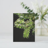 Carte Postale Arbre (Debout devant)