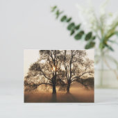 Carte postale, arbre (Debout devant)