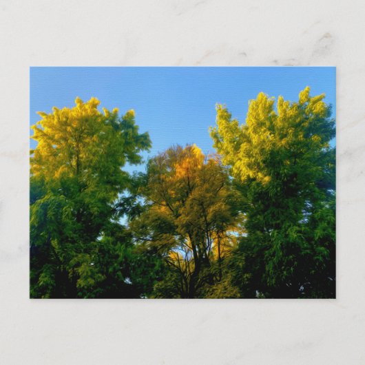 Carte Postale Arbre (Devant)