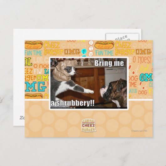 Carte Postale Arbre (Devant / Derrière)