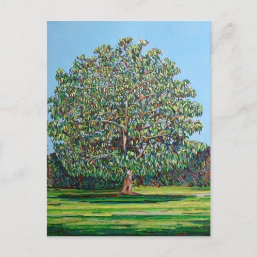 Carte Postale Arbre à bois été (Devant)
