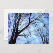 Carte Postale Arbre à chaussures (Devant / Derrière)