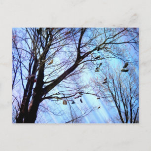 Carte Postale Arbre à chaussures