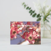 Carte Postale Arbre à chiens (Debout devant)