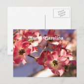 Carte Postale Arbre à chiens (Devant / Derrière)