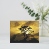 Carte Postale Arbre à coucher (Debout devant)