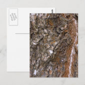 Carte Postale Arbre à écorce (Devant / Derrière)