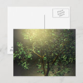 Carte Postale Arbre à érable japonais 3D (Devant / Derrière)