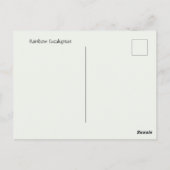 Carte Postale Arbre à eucalyptus arc-en-ciel (Dos)