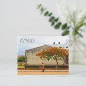 Carte Postale arbre à flammes mozambique (Debout devant)