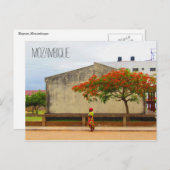 Carte Postale arbre à flammes mozambique (Devant / Derrière)