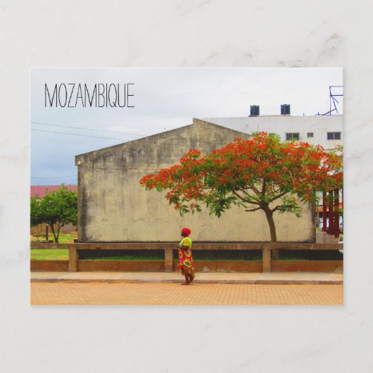 Carte Postale arbre à flammes mozambique (Devant)