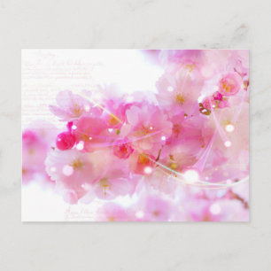 Carte Postale Arbre à fleurs cerisier japonais avec fleurs paste