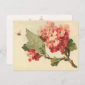Carte postale Arbre à fleurs vintage (Devant / Derrière)