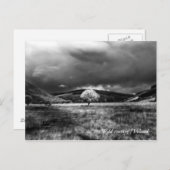 Carte Postale Arbre à la campagne (Devant / Derrière)