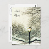 Carte Postale arbre à neige du parc central (Devant / Derrière)