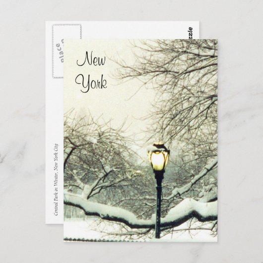 Carte Postale arbre à neige du parc central (Devant / Derrière)