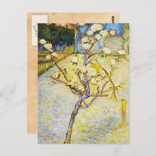 Carte Postale Arbre à poires en fleurs Vincent van Gogh (Devant / Derrière)