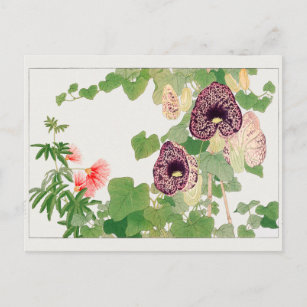 Carte Postale Arbre à poudre, fleur de Calico par Tanigami Konan