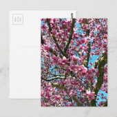 Carte Postale Arbre à tulipes (Devant / Derrière)