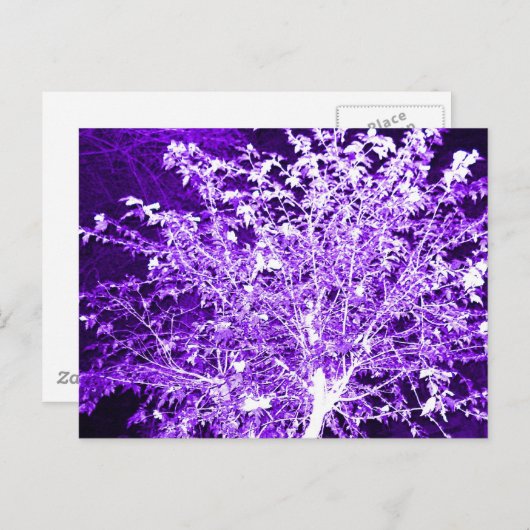 Carte Postale Arbre Abstrait (Devant / Derrière)