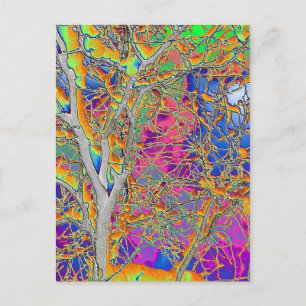 Carte Postale Arbre Abstrait