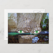 Carte Postale arbre Alien (Devant / Derrière)
