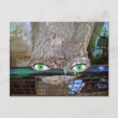 Carte Postale arbre Alien (Devant)