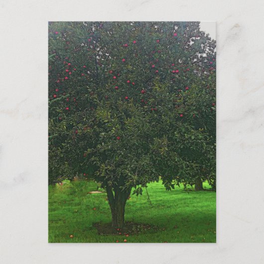 Carte Postale Arbre Apple (Devant)