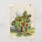 Carte Postale Arbre Apple vintage (Devant / Derrière)