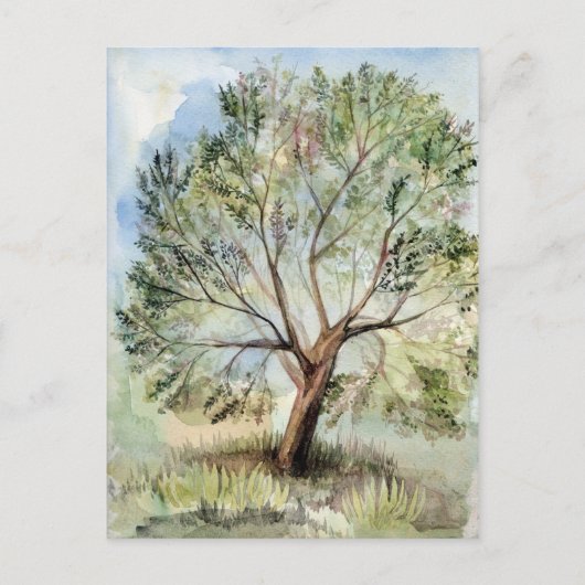 Carte Postale Arbre aquarelle (Devant)