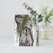 CARTE POSTALE ARBRE ARRIÈRE (Debout devant)