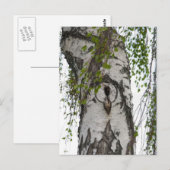 CARTE POSTALE ARBRE ARRIÈRE (Devant / Derrière)