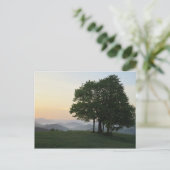 Carte Postale Arbre au lever du soleil (Debout devant)