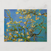 Carte Postale Arbre aux amandes en fleurs par Vincent van Gogh (Devant)