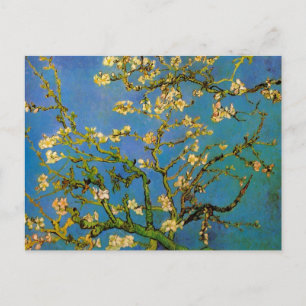 Carte Postale Arbre aux amandes en fleurs par Vincent van Gogh