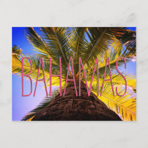 Carte Postale Arbre bahaméen