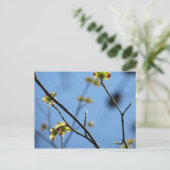 Carte postale Arbre Blossom (Debout devant)