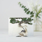 Carte Postale Arbre bonsai (Debout devant)