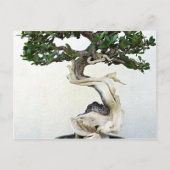 Carte Postale Arbre bonsai (Devant)