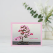 Carte Postale Arbre bonsaï (Debout devant)