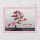 Carte Postale Arbre bonsaï (Devant)