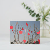 Carte Postale Arbre cardiaque (Debout devant)