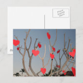 Carte Postale Arbre cardiaque (Devant / Derrière)