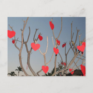 Carte Postale Arbre cardiaque