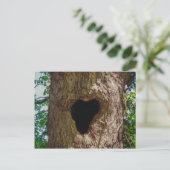 Carte Postale Arbre cardiaque (Debout devant)