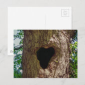 Carte Postale Arbre cardiaque (Devant / Derrière)