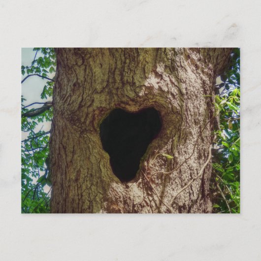 Carte Postale Arbre cardiaque (Devant)